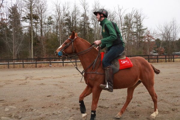 Saratoga Polo School