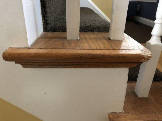 Replace damage chewed steps