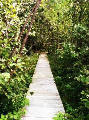 MN Resort Boardwalk