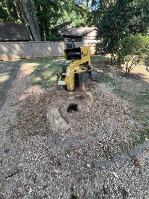 Down2Dirt Stump Grinding