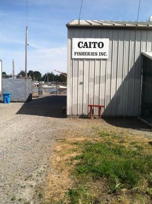 Caito Fisheries