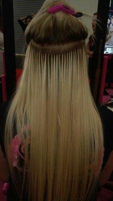 Extensiones /Extensions