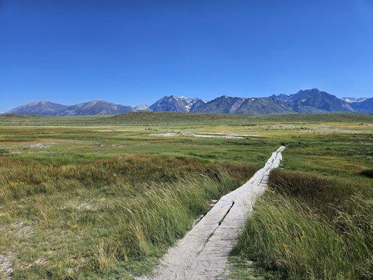 Walk to the hot spring