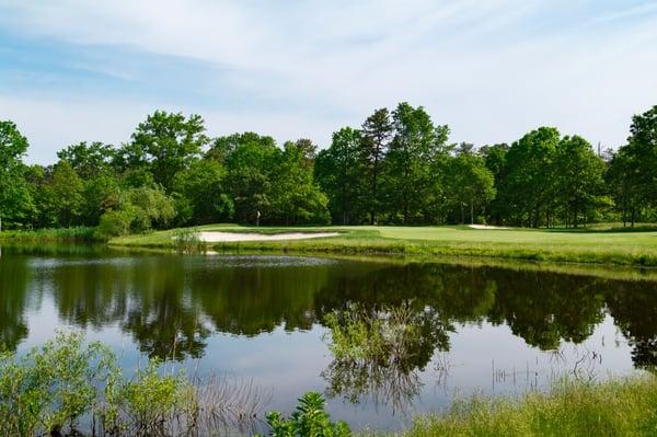 Hole number 15 at Blue Heron PInes