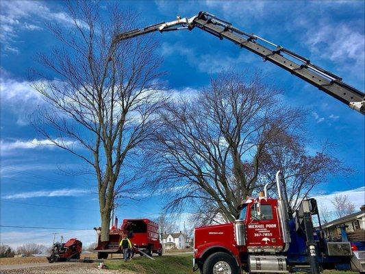 Michael Poor Certified Arborist