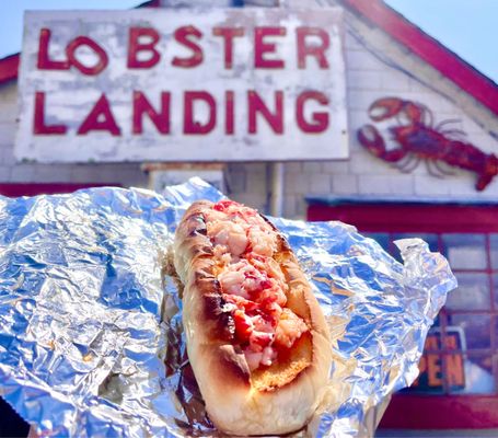 lobster roll - 1/4lb hot lobster meat on a toasted sub roll with lemon and melted butter