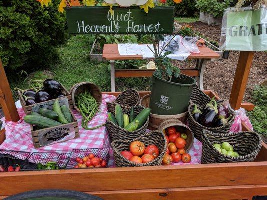 OLIVET HEAVENLY HARVEST COMMUNITY GARDEN