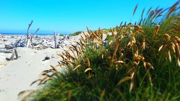 Harbor Vista County Park