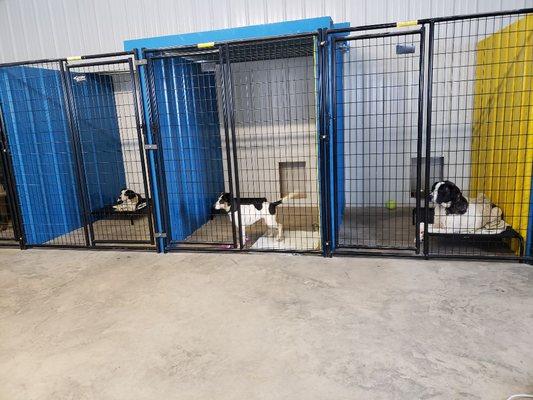 Indoor portion of the boarding facility. Dogs are able to enter and exit through their own doggy door that leads to a private outdoor run.