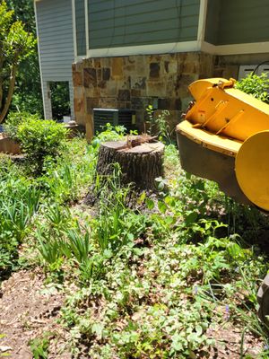 Stump Rescue LLC grinding stumps in Peachtree City