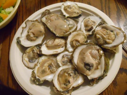 Fresh and tasty Florida Gulf coast oysters,  as good as they get!