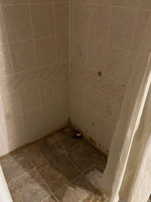 Basement shower. Disgusting and what is that pipe draining from.