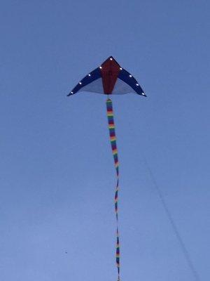 Kite with lights