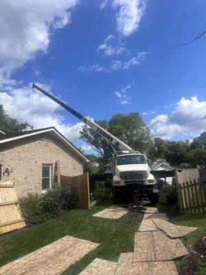 Rigging dead tree out of steep back yard