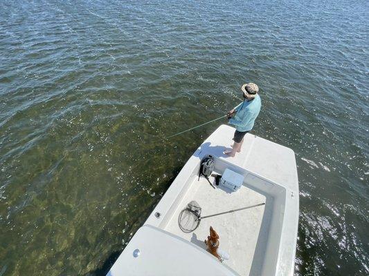 Inshore fishing for red drum in crystal clear water