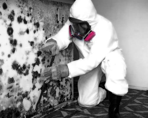 Mold Remediation Services for any size project Residential & Commercial