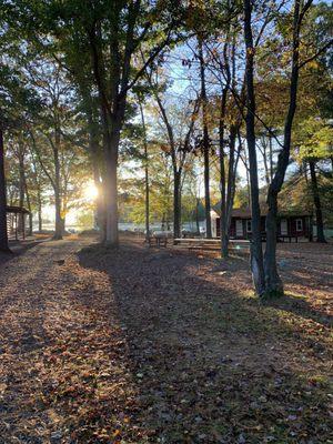 Cabin area