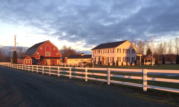 Stilly Brook Farm