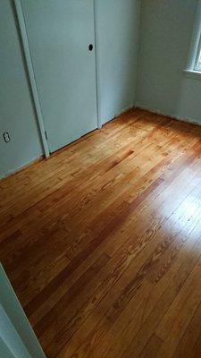 Refinished pine floor