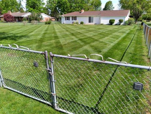 Fresh checkerboard pattern