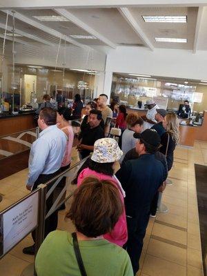 Yelp asked me if I saw anything interesting here. 24 people waiting in line, 2 tellers, 12 open windows... interesting @bankofamerica