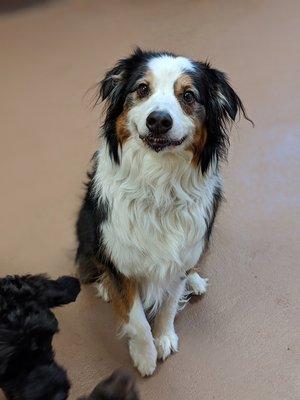 Ace smiling to be at day care