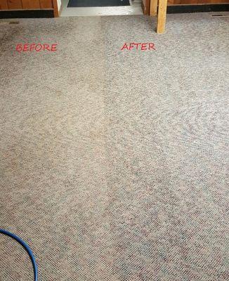 Carpets cleaned by Quality Services