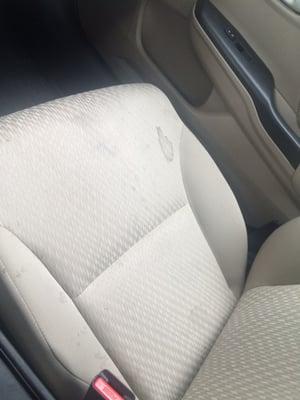 Stains on the seat