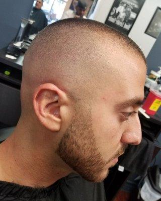 Razor tight high fade w/ sharp beard lineup