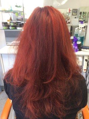 Cut, style and color by Tania!