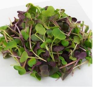 Organic Microgreens