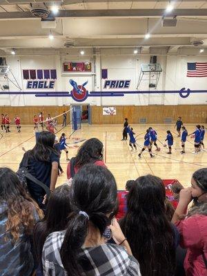 Volleyball game