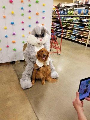 Best part of the Easter photo event was when my favorite dog came in. This is Redd, and you can catch him there Saturday, sun, & Monday's.