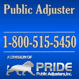 Public Insurance Claim Adjuster Business