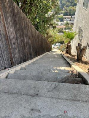 Hidden Stairways of Silver Lake