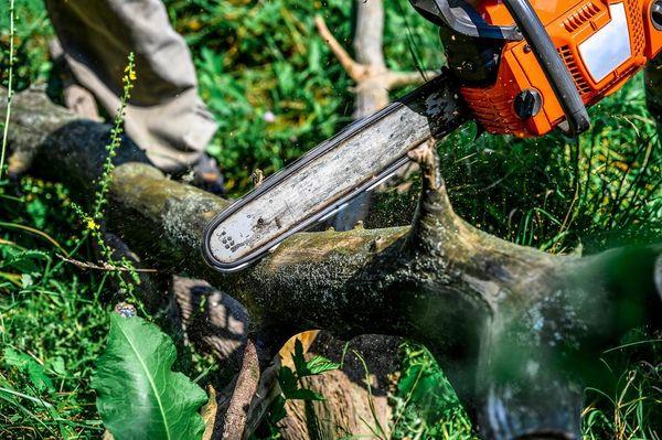 Tree removal is one of our services