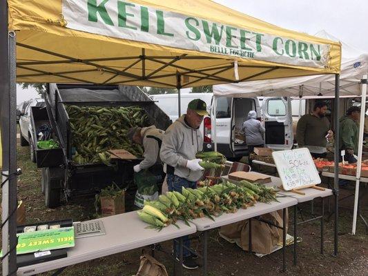 Black Hills Farmers Market