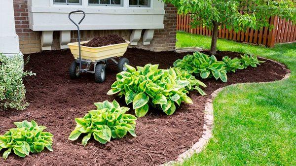 Do you need Mulch on your Property? We can Help! We are offering delivery of Mulch and Topsoil.