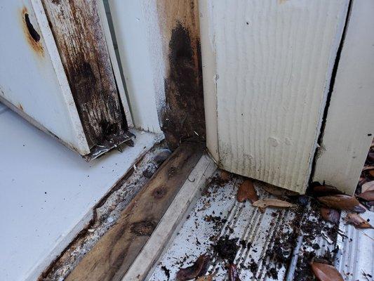 Rotted kitchen door and framing.