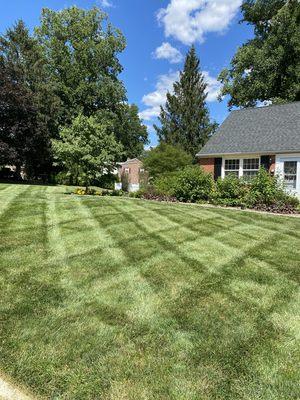 Lawn Maintenance