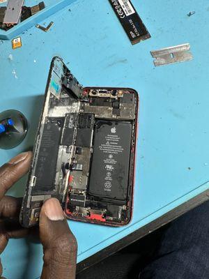 iPhone water Damage Repair