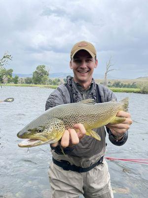 Trout On The Fly