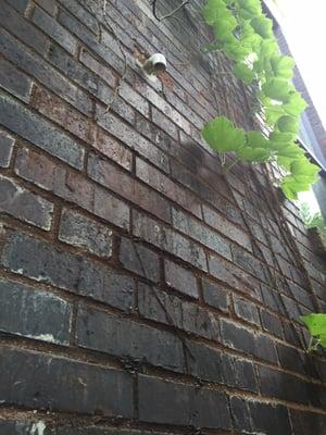 How it was left to drain approx. 8ft above ground down Sideof house