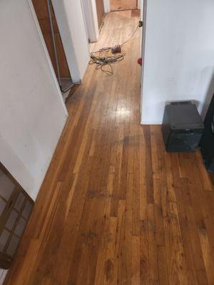 Before pics if a  hard wood floor refinish job