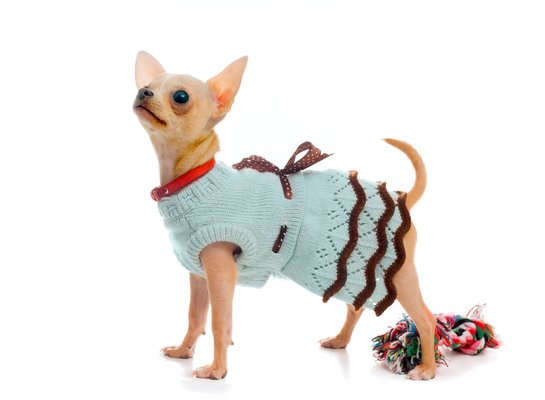 Hand Made Pet Clothes