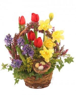 IT'S FINALLY SPRING!
BASKET ARRANGEMENT
It's Spring at last and time to celebrate with this basket of springtime favorites, r...