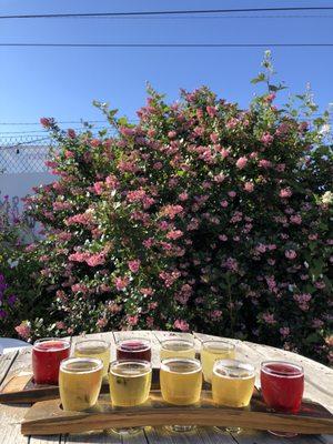 Outdoor area, flights of cider