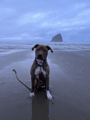 Listens well even on the beach now!!