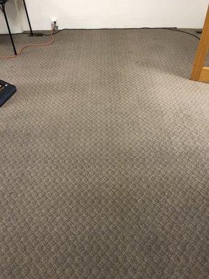 3 Step Carpet Cleaning