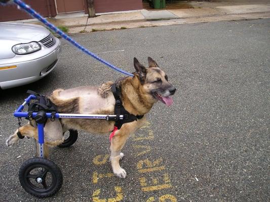 One of our Rehab patients.